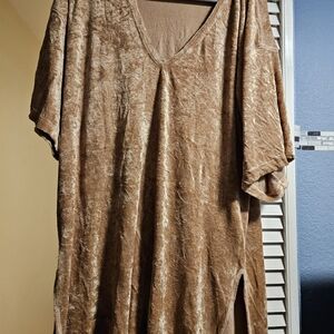 Free People Brown Tunic Top